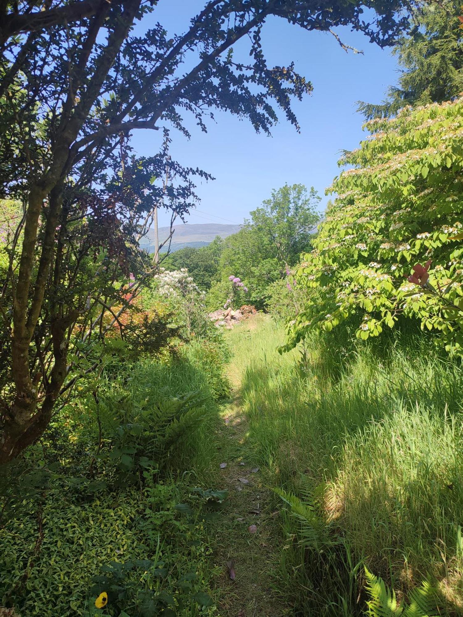 Y Cwtch - Panoramic Mountain Views Within Snowdonia'S National Park - 4X4 Recommended Villa Dolgellau Exterior photo